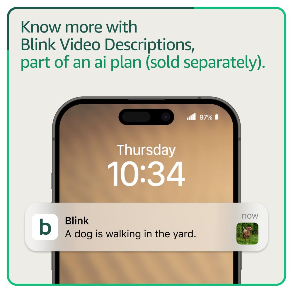 Blink Outdoor Smart Cam