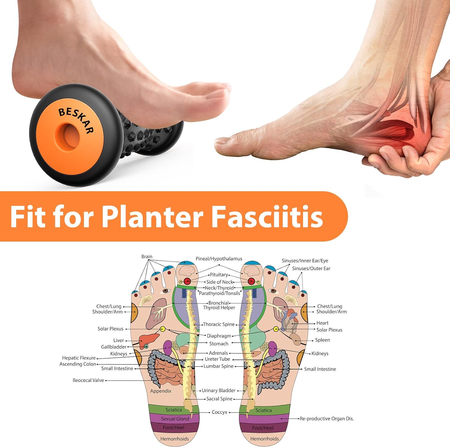 Relaxing Foot Roller Massage