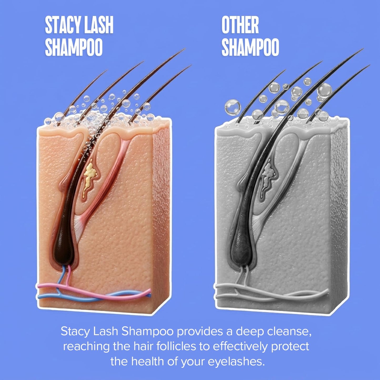Luxe Lash Cleanser Kit